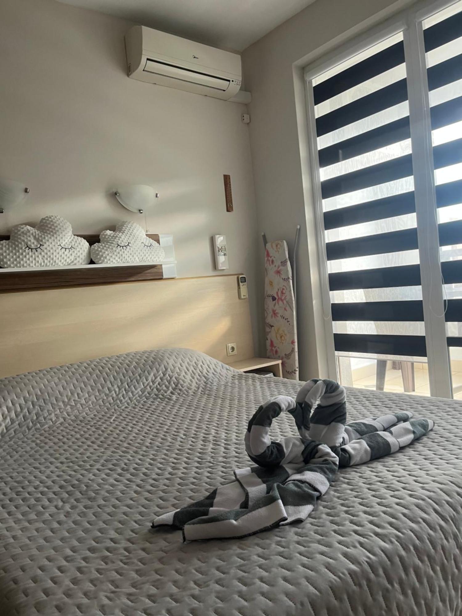 רוגאצ'בו Harmony Hills Petkovi Studio Apartment מראה חיצוני תמונה
